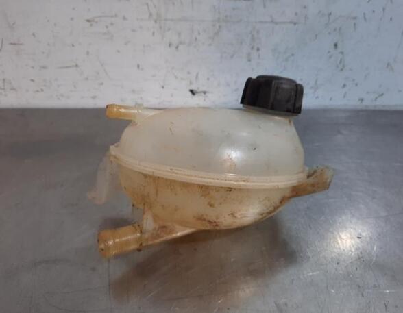 Coolant Expansion Tank DACIA DOKKER MPV (KE_), DACIA LODGY (JS_), RENAULT CAPTUR I (J5_, H5_), RENAULT CLIO IV (BH_)