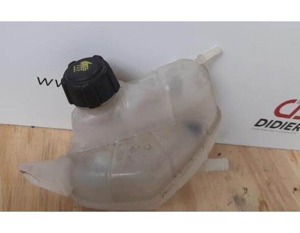 Coolant Expansion Tank NISSAN QASHQAI II SUV (J11, J11_), RENAULT KADJAR (HA_, HL_)