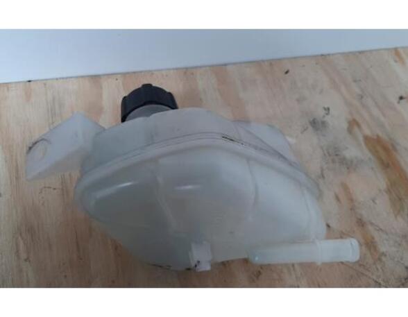 Coolant Expansion Tank NISSAN QASHQAI II SUV (J11, J11_), RENAULT KADJAR (HA_, HL_)