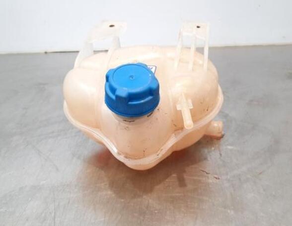 Coolant Expansion Tank FIAT DOBLO Cargo (263_), FIAT DOBLO Platform/Chassis (263_), FIAT DOBLO MPV (263_)