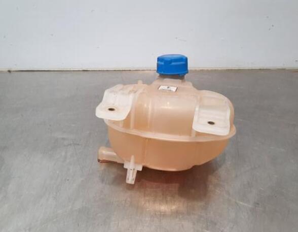 Coolant Expansion Tank FIAT DOBLO Cargo (263_), FIAT DOBLO Platform/Chassis (263_), FIAT DOBLO MPV (263_)