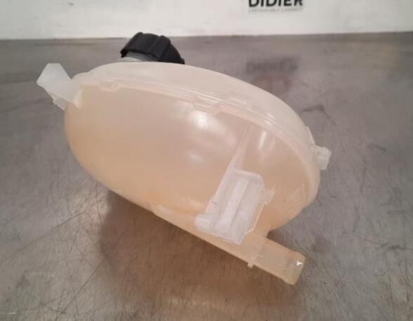 Coolant Expansion Tank RENAULT CLIO V (B7_), RENAULT CAPTUR II (HF_)