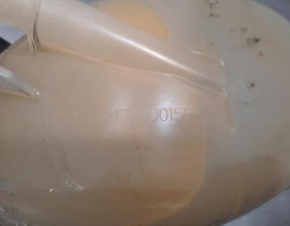 Coolant Expansion Tank RENAULT MASTER III Van (FV)