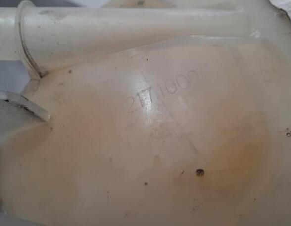 Coolant Expansion Tank RENAULT MASTER III Van (FV)