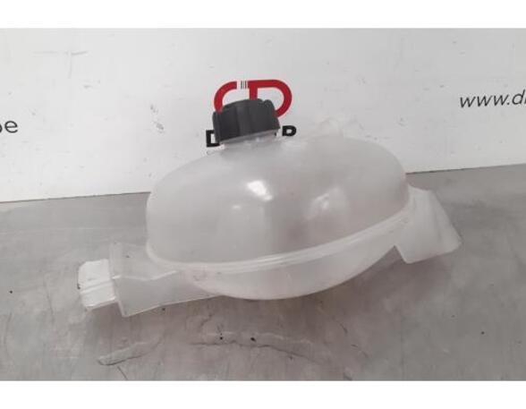 Coolant Expansion Tank RENAULT MASTER III Van (FV)