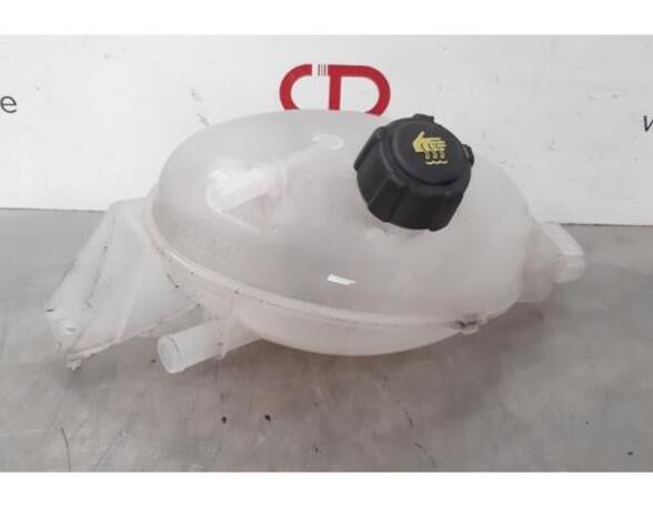 Coolant Expansion Tank RENAULT MASTER III Van (FV)