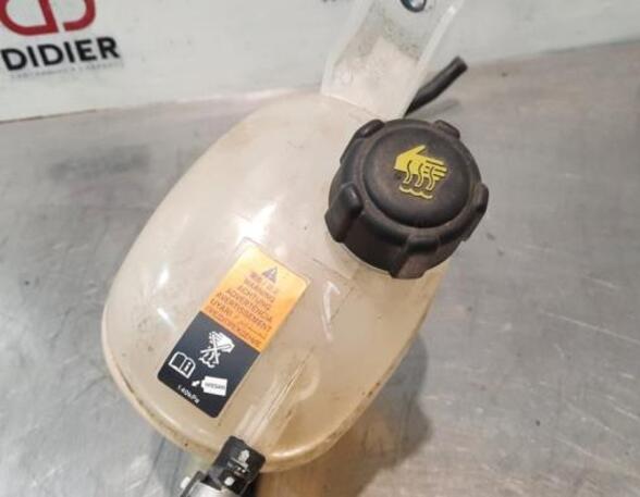 Coolant Expansion Tank NISSAN MICRA V (K14)