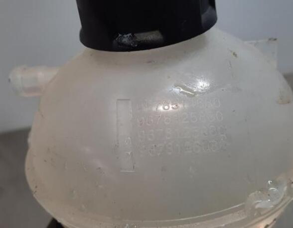 Coolant Expansion Tank PEUGEOT 3008 SUV (MC_, MR_, MJ_, M4_)