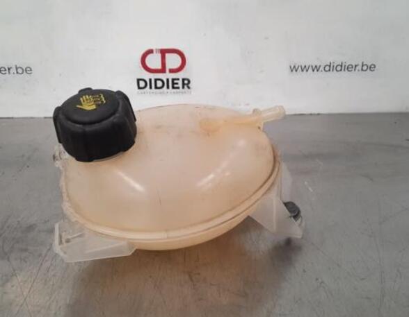 Coolant Expansion Tank RENAULT CAPTUR I (J5_, H5_), RENAULT CLIO IV (BH_), DACIA SANDERO II, DACIA DUSTER (HS_)