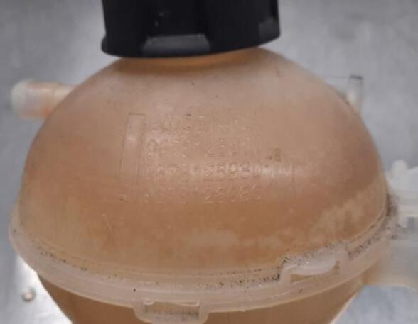 Coolant Expansion Tank DS DS 4 II (F_, FB_, F3_)