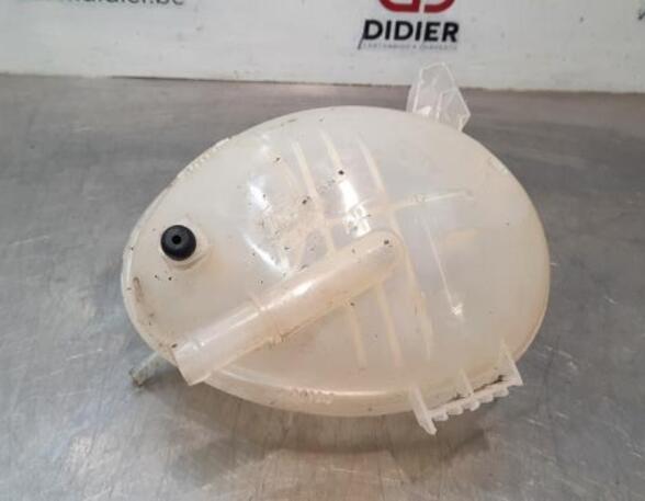 Coolant Expansion Tank FORD FIESTA VII (HJ, HF), FORD KA+ (UK, FK)