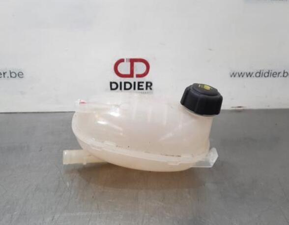 Coolant Expansion Tank RENAULT CAPTUR II (HF_), RENAULT CLIO V (B7_)