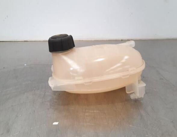 Coolant Expansion Tank RENAULT CAPTUR II (HF_), RENAULT CLIO V (B7_)