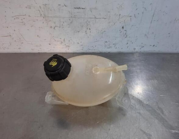 Coolant Expansion Tank DACIA DOKKER MPV (KE_), DACIA DUSTER (HS_), DACIA LODGY (JS_), DACIA LOGAN MCV II