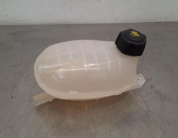 Coolant Expansion Tank RENAULT CLIO V (B7_), RENAULT CAPTUR II (HF_)