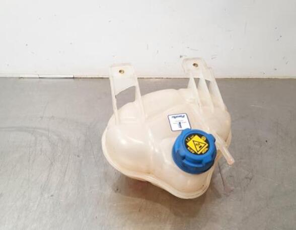 Coolant Expansion Tank FIAT DOBLO Cargo (263_), FIAT DOBLO Platform/Chassis (263_), FIAT DOBLO MPV (263_)