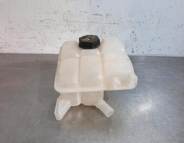 Coolant Expansion Tank FORD TOURNEO CONNECT / GRAND TOURNEO CONNECT V408 MPV