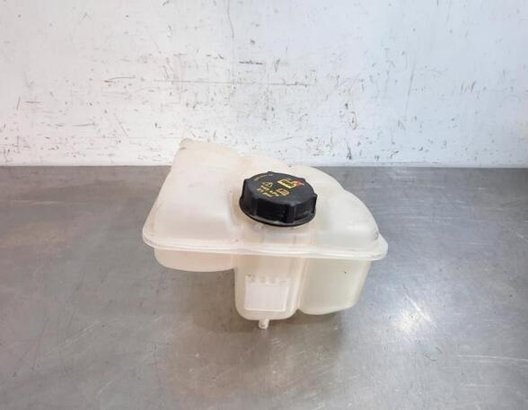 Coolant Expansion Tank FORD TOURNEO CONNECT / GRAND TOURNEO CONNECT V408 MPV