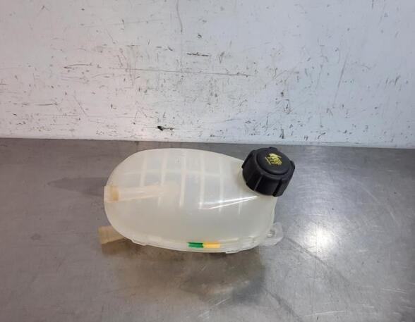 Coolant Expansion Tank RENAULT CLIO V (B7_), RENAULT CAPTUR II (HF_), DACIA JOGGER (RK_)