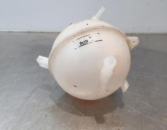 Coolant Expansion Tank VW CADDY IV MPV (SAB, SAJ)