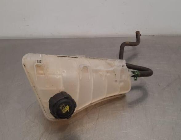 Coolant Expansion Tank RENAULT KANGOO Express (FW0/1_)