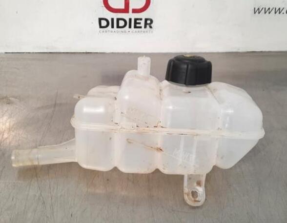 Coolant Expansion Tank RENAULT MEGANE IV Hatchback (B9A/M/N_)