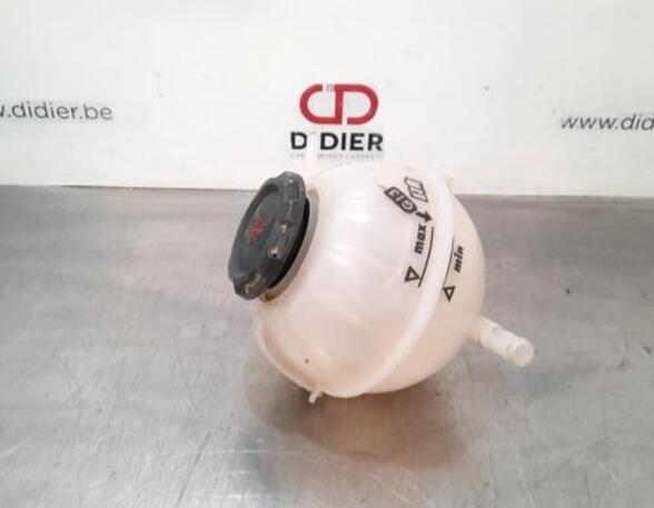 Coolant Expansion Tank SKODA FABIA III (NJ3)