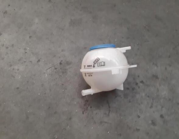 Coolant Expansion Tank SKODA FABIA III (NJ3)