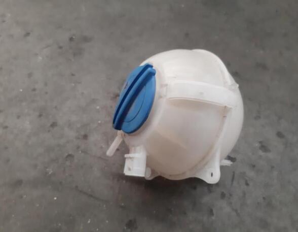 Coolant Expansion Tank SKODA FABIA III (NJ3)