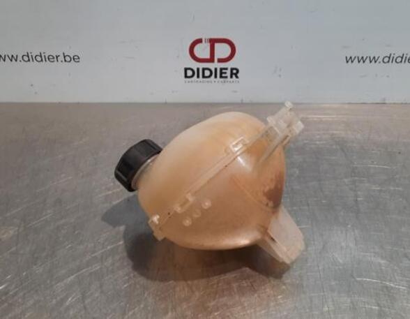 Coolant Expansion Tank CITROËN JUMPY III Van (V_)