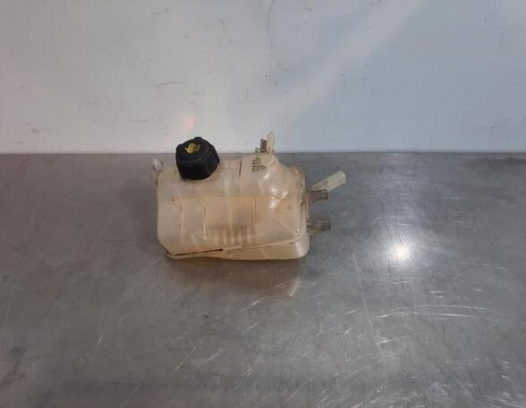 Coolant Expansion Tank RENAULT MEGANE III Grandtour (KZ0/1)