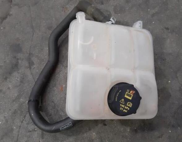 Coolant Expansion Tank FORD TOURNEO CONNECT / GRAND TOURNEO CONNECT V408 MPV, FORD TRANSIT CONNECT MPV