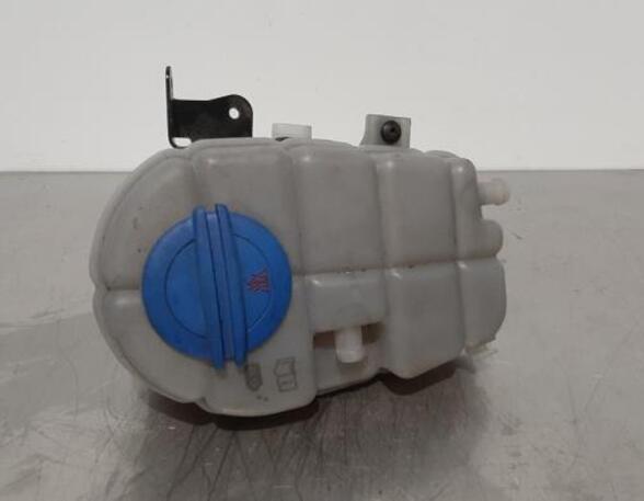 Coolant Expansion Tank AUDI A6 (4G2, 4GC, C7), LAND ROVER DISCOVERY IV (L319)