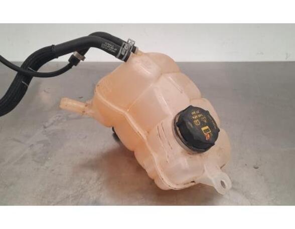 Coolant Expansion Tank FORD GALAXY III (CK), FORD S-MAX (CJ, WA6)