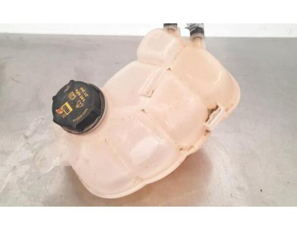 Coolant Expansion Tank FORD GALAXY III (CK), FORD S-MAX (CJ, WA6)