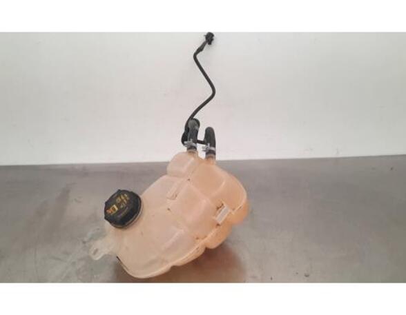 Coolant Expansion Tank FORD GALAXY III (CK), FORD S-MAX (CJ, WA6)