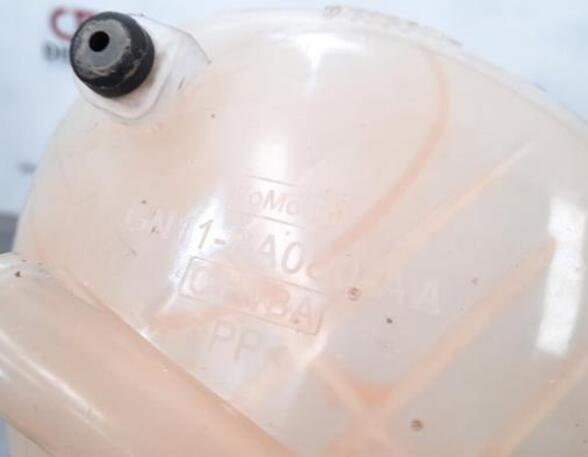 Coolant Expansion Tank FORD FIESTA VII (HJ, HF), FORD FIESTA VII Van