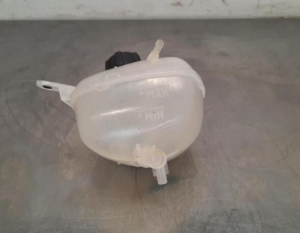 Coolant Expansion Tank NISSAN QASHQAI III (J12)