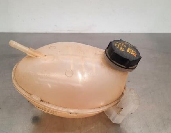 Coolant Expansion Tank FORD FIESTA VII (HJ, HF), FORD KA+ (UK, FK)