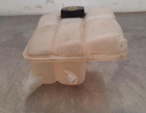 Coolant Expansion Tank FORD KUGA II (DM2), FORD TRANSIT CONNECT V408 Box Body/MPV