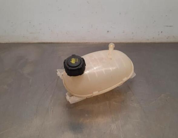 Coolant Expansion Tank DACIA DOKKER MPV (KE_), DACIA LODGY (JS_), DACIA DUSTER (HS_), DACIA LOGAN MCV II