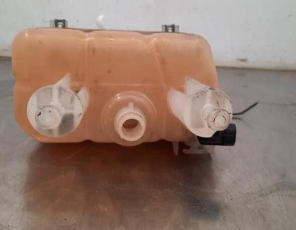 Coolant Expansion Tank PEUGEOT BOXER Van, OPEL MOVANO C Van (U9), CITROËN JUMPER Van