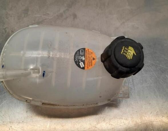 Coolant Expansion Tank NISSAN JUKE (F16_), RENAULT CAPTUR II (HF_), RENAULT CLIO V (B7_)