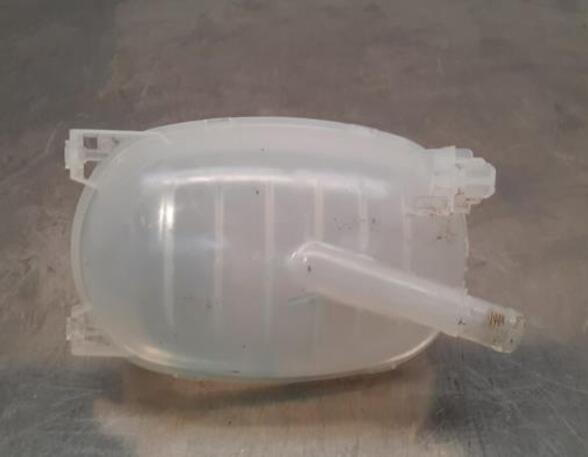 Coolant Expansion Tank NISSAN JUKE (F16_), RENAULT CAPTUR II (HF_), RENAULT CLIO V (B7_)