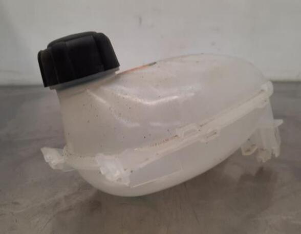 Coolant Expansion Tank NISSAN JUKE (F16_), RENAULT CAPTUR II (HF_), RENAULT CLIO V (B7_)