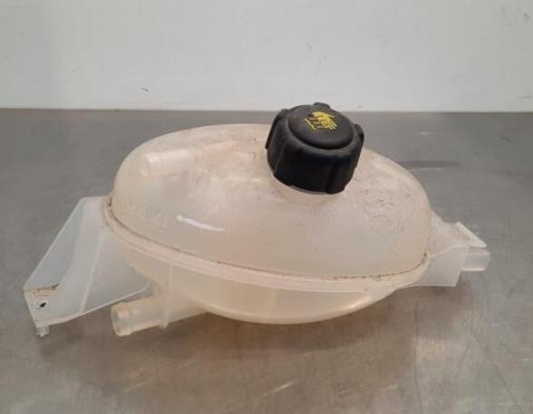 Coolant Expansion Tank RENAULT MASTER III Platform/Chassis (EV, HV, UV)