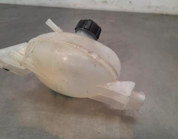 Coolant Expansion Tank OPEL MOVANO B Bus (X62)