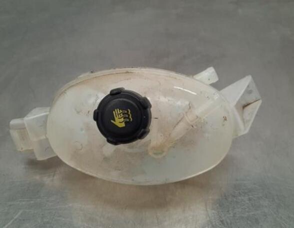 Coolant Expansion Tank OPEL MOVANO B Bus (X62)