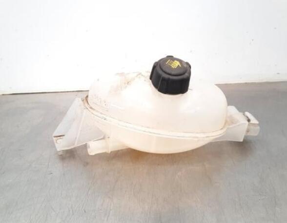 Coolant Expansion Tank RENAULT MASTER III Van (FV)