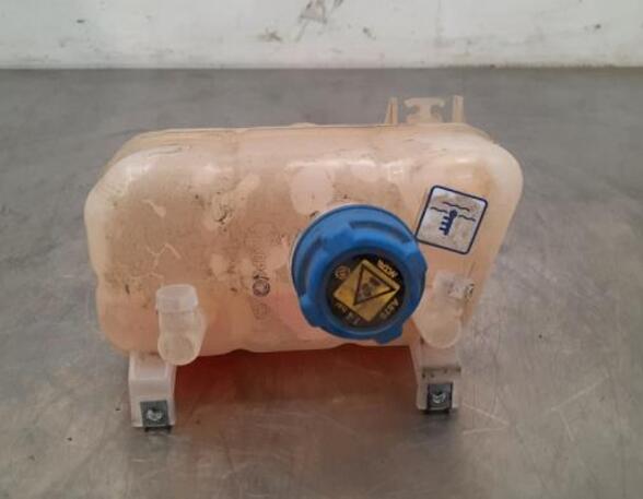 Coolant Expansion Tank FIAT DUCATO Van (250_, 290_), FIAT DUCATO Bus (250_, 290_)